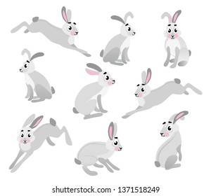 Hare or rabbit animal icon. Vector animals in cartoon style.