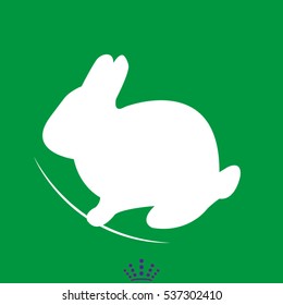 hare, rabbit, icon, vector illustration EPS 10