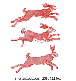 Hare or rabbit jumping. Wild animal running . Hand drawn or engraved sketch style traditional illustration, line work in ink for alcohol label