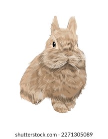 Hare, rabbit from multicolored paints. Splash of watercolor, colored drawing, realistic. Vector illustration of paints