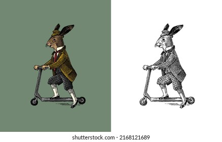 Hare or rabbit rides a scooter. Antique gentleman in a cap and coat. Victorian Ancient Retro Clothing. A man in a suit. Hand drawn old monochrome sketch. Vintage engraving style.