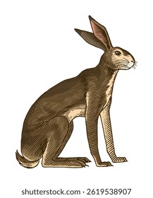 hare or rabbit sitting , in old vintage traditional style, hand drawn made by pen and ink. big set of engraved wild farm animals for labels or web design