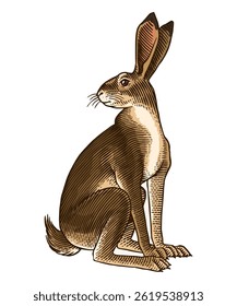 hare or rabbit sitting , in old vintage traditional style, hand drawn made by pen and ink. big set of engraved wild farm animals for labels or web design