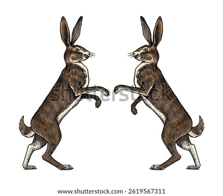Hare or rabbit standing on feet. ready to fight symbol of ecology. Wild animal in old ink tradition style hand drawn or engraved for web or label.