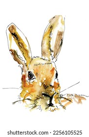 Hare rabbit watercolour sketch art. Wild animal head isolated vector.