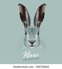 Hare or Rabbit wild animal cute face. Vector European hare, Lepus Europaeus funny bunny head portrait. Easter symbol. Realistic fur portrait of forest winter bunny animal isolated on blue background.