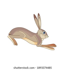 Hare running and jumping. Cartoon character of a small mammal animal. A wild forest creature with gray fur. Side view. Vector flat illustration isolated on a white background.