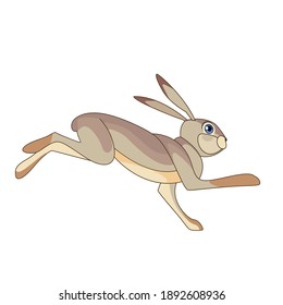 Hare running. Rabbit wild northern forest animal. Cartoon character of a small mammal animal. A wild forest creature with gray fur. Side view. Vector flat illustration isolated on a white background.
