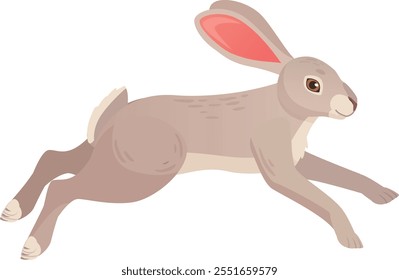 Hare running. Wild rabbit in nature. Forest animal isolated on white background