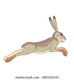 Hare runs away and jumping. Cartoon character of a small mammal animal. A wild forest creature with gray fur. Side view. Vector flat illustration isolated on a white background.