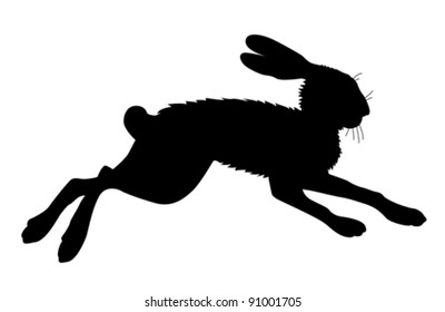 hare silhouette on white background, vector illustration