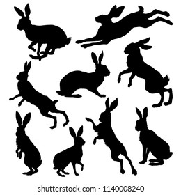 Hare silhouette set. Vector illustration