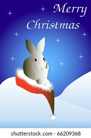 The hare sits in a cap Santa and congratulates on Christmas