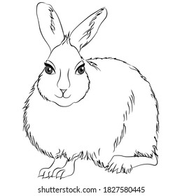 Hare Sitting Coloring Page vector. Coloring book anti-stress for adults and children. Black and white.