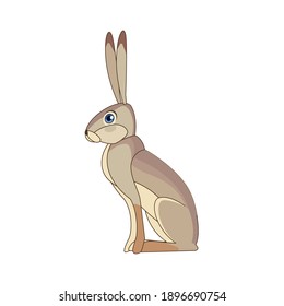 Hare stands on the ground and looking. Siamese hare. Lepus peguensis, mamal of South east Asia. Scene from wild. Cartoon character vector flat illustration isolated on a white background. 
