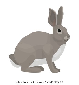 Hare vector icon.Cartoon vector icon isolated on white background hare.