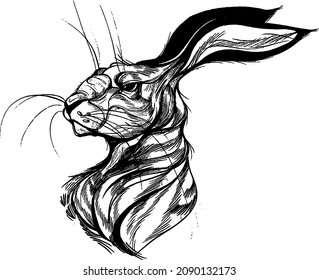 hare vintage, proud and serious illustration, design for posters and postcard