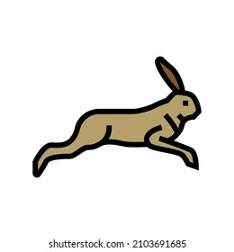 hare wild animal color icon vector. hare wild animal sign. isolated symbol illustration