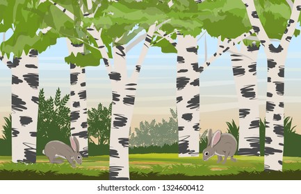 Hares in a birch grove. Wild animals of the forest. Animals of Europe and America. Realistic Vector Landscape
