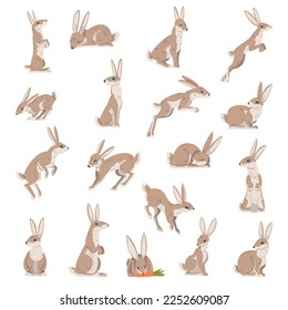 Hares and Jackrabbits as Swift Animal with Long Ears and Grayish Brown Coat Big Vector Set