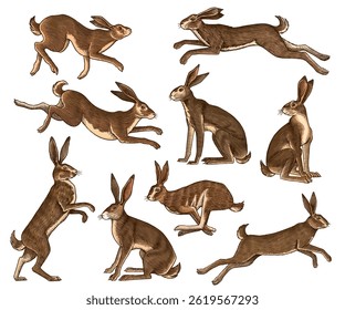 hares or rabbits sitting and jumping, in old vintage traditional style, hand drawn made by pen and ink. big set of engraved wild farm animals for labels or web design