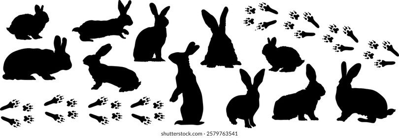 Hares, rabbits, tracks. Set of black silhouettes of hares on a transparent background. Rabbit tracks. Easter bunny. Silhouettes of hares in different poses