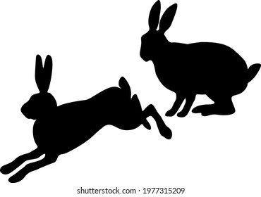 Hares in the set. The hare sits and the hare jumps.