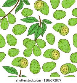 Haritaki. Terminalia chebula. Plant. Fruit, leaves, branch. Seamless, texture, wallpaper. Color