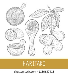 Haritaki. Terminalia chebula. Triphala. Plant, mortar, powder, spoon. Fruit, leaves, branch. Set.