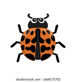 Caricatura del vector Harlequin aislada en fondo blanco. Bedredón asiático. Ilustración vectorial de los insectos Harmonia axyridis. Caricatura de escarabajo de mariquita asiática multicolor. 