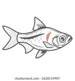 Harlequin Rasbora Fish Vector Illustration