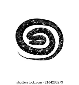 Harlequin Snake hand drawing vector illustration isolated on white background