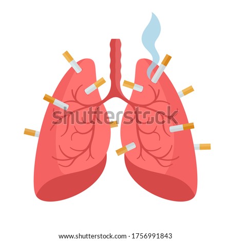 Harm from smoking. Cigarettes are stuck in the human lungs. Diseases of smokers. Medical banner, poster placard. Vector illustration, flat design, cartoon style, isolated background.