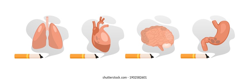 Harm from Smoking. Unhealthy habit smoking and harm for organs, cancer of lungs, heart disease, diseases of the brain and stomach, toxic cigarette smoke