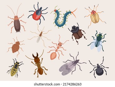 Harmful bugs. Danger insects ladybug ants pests roaches centipede flea exact vector illustrations set