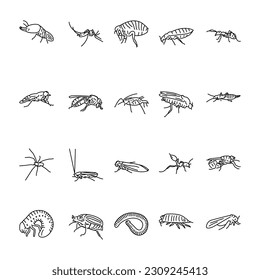 Icono de línea negra de insectos dañinos. Pictograma para página web, aplicación móvil, promoción.