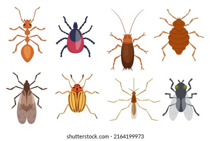 Harmful insects. Pests ants centipedes roaches bugs sprayers exact vector cartoon template protection form insects