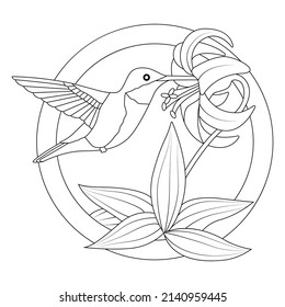 hummingbird outline drawings