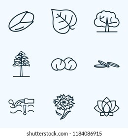 Harmony icons line style set with pine, chickpeas, lotus and other waste elements. Isolated vector illustration harmony icons.