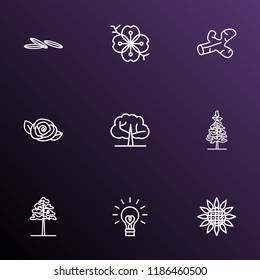 Harmony icons line style set with larch tree, sunflower, camellia and other cumin elements. Isolated vector illustration harmony icons.