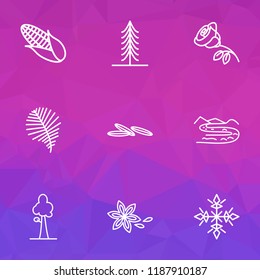 Harmony icons line style set with star anise, sequoia, fir and other cumin elements. Isolated vector illustration harmony icons.