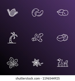 Harmony icons line style set with pine nut, star anise, palm and other turmeric elements. Isolated vector illustration harmony icons.