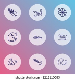 Harmony icons line style set with lavender, sakura flower, sunflower seeds and other macadamia elements. Isolated vector illustration harmony icons.