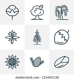 Harmony icons line style set with pine nut, hazel nut, larch tree and other acorn elements. Isolated vector illustration harmony icons.