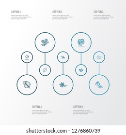 Harmony icons line style set with oak leaf, willow, birch and other forest elements. Isolated vector illustration harmony icons.