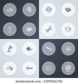 Harmony icons line style set with pecan, fish bone, flower seed and other cinnamon elements. Isolated vector illustration harmony icons.