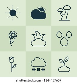 Harmony icons set with big tree, rose, clear sunrise and other snowstorm elements. Isolated vector illustration harmony icons.