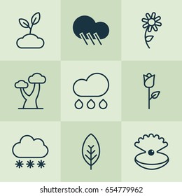 Harmony Icons Set. Collection Of Raindrop, Rain, Seashell And Other Elements. Also Includes Symbols Such As Wood, Sunflower, Pearl.