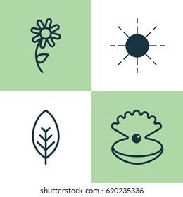 Harmony Icons Set. Collection Of Seashell, Tree Leaf, Sun And Other Elements. Also Includes Symbols Such As Foliage, Tree, Seashell.