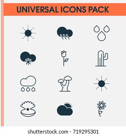 Harmony Icons Set. Collection Of Seashell, Sunny Weather, Cold Climate And Other Elements. Also Includes Symbols Such As Rain, Wood, Tree.